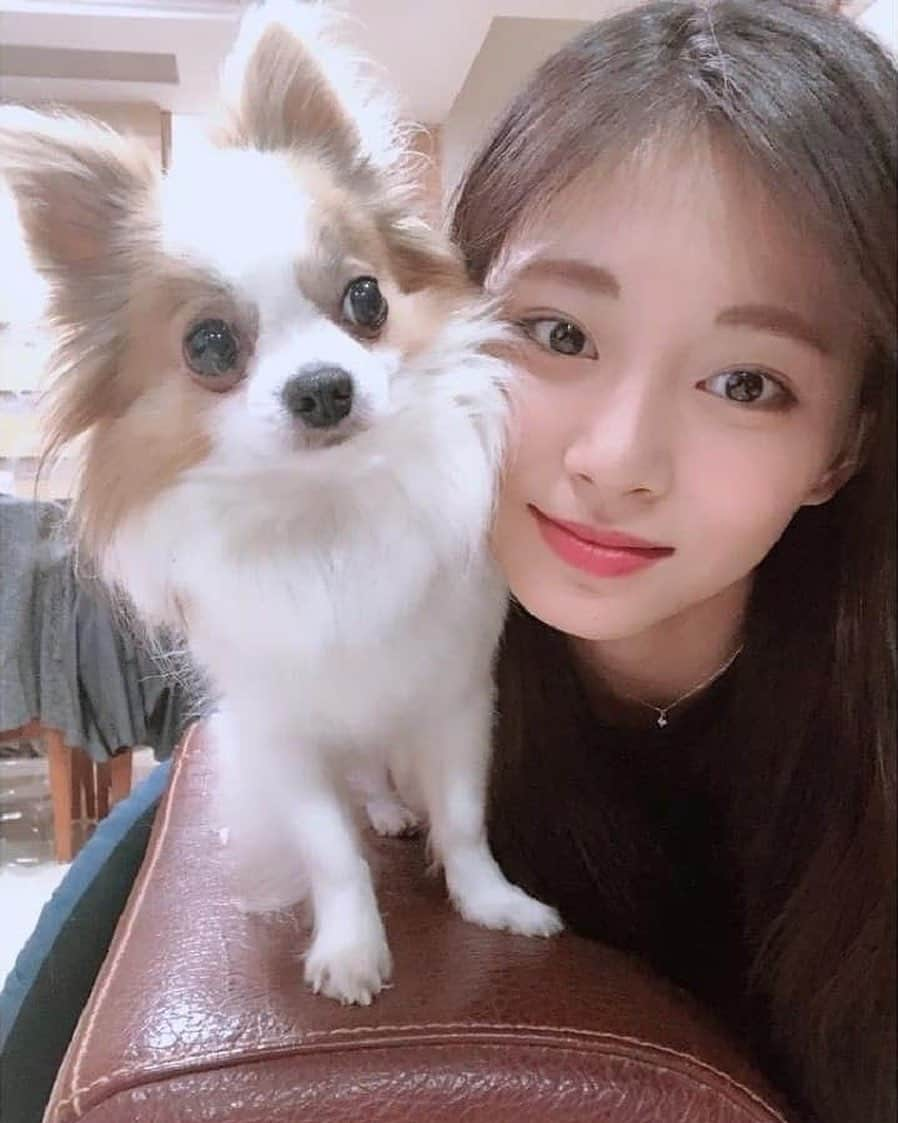 ツウィさんのインスタグラム写真 - (ツウィInstagram)「Both cuties ❤️」8月27日 7時41分 - chou_tzuyu