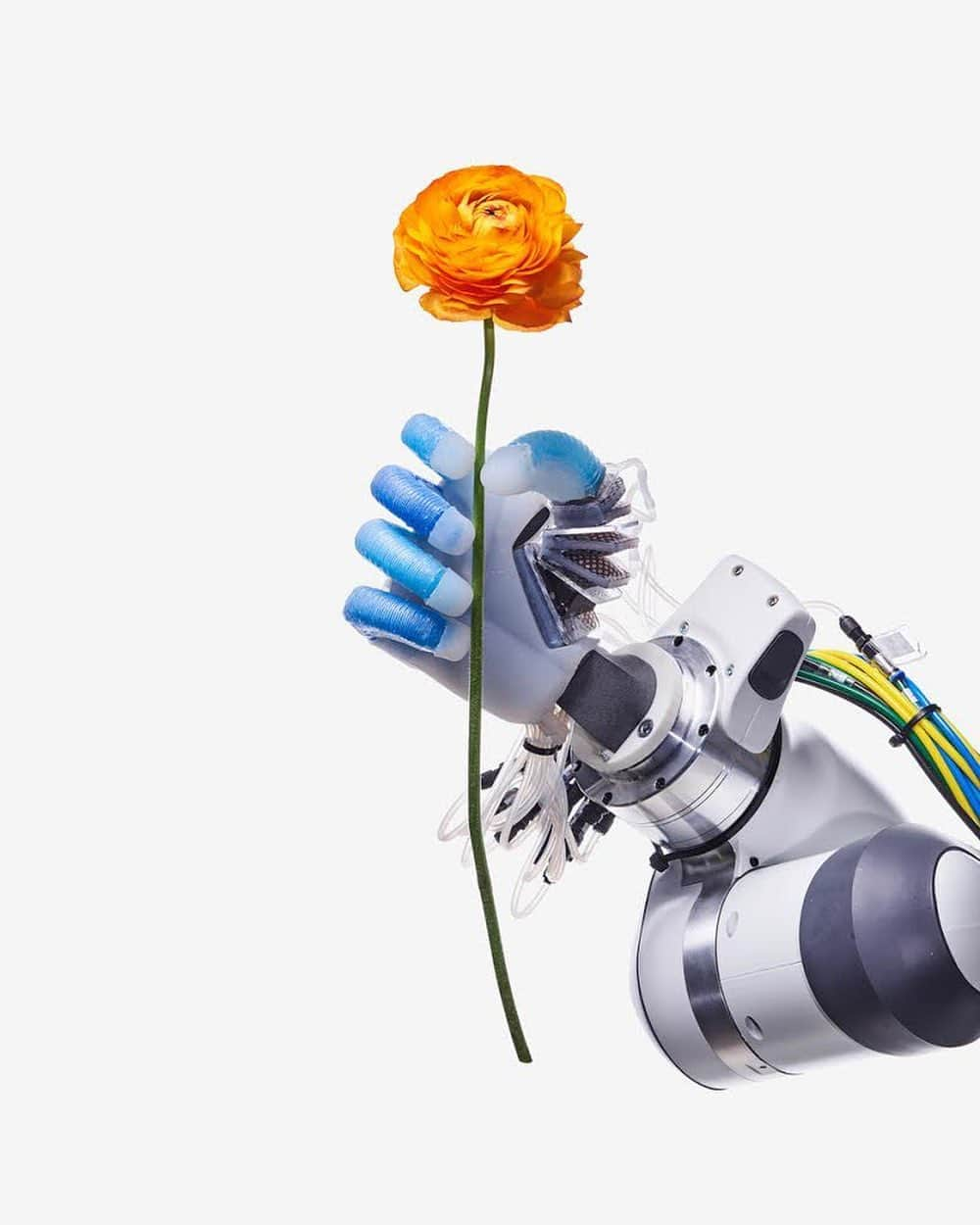 thephotosocietyさんのインスタグラム写真 - (thephotosocietyInstagram)「Photo by @spencerlowell_ // With a firm yet delicate grip, a robot hand at the Robotics and Biology Laboratory at the Technical University of Berlin picks up a flower with its pneumatic fingers. Recent advances have brought robots closer than ever to mimicking human abilities.  I spent the better part of a year traveling through Europe, Japan and America photographing robots for a story that’s out now in the September 2020 issue of National Geographic. This image was one of the first shots that I took on the first day of shooting.   @thephotosociety @natgeo #robots」8月27日 7時59分 - thephotosociety