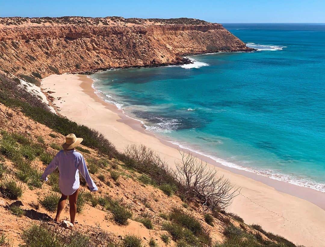 フェリシティー・パルマティアーのインスタグラム：「I think we spotted about 10 sharks from up here 🦈🦈🦈」
