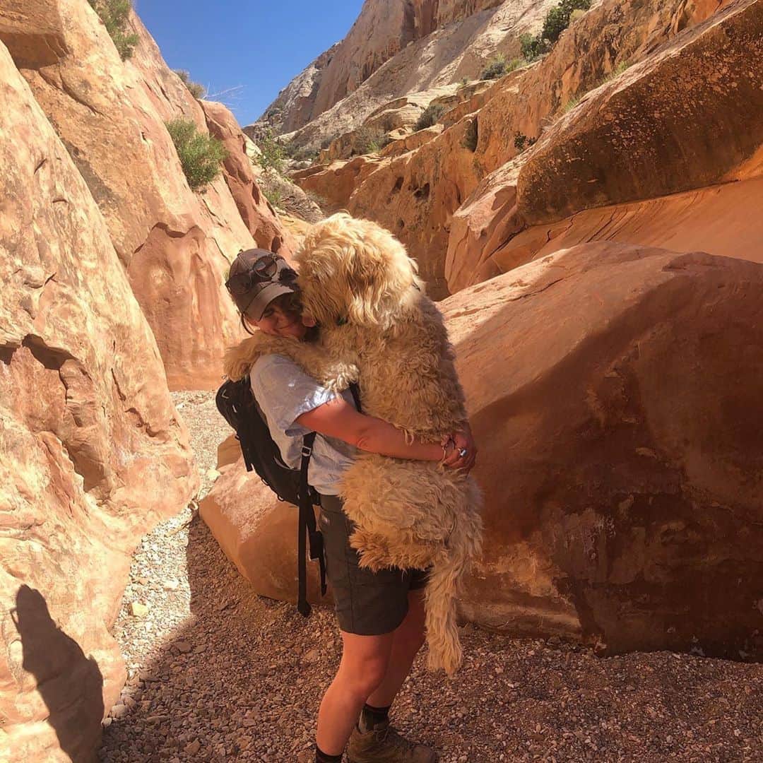 グレゴリーさんのインスタグラム写真 - (グレゴリーInstagram)「Say hello to Gregory Mountain Pups! While they may not be the hardest workers in the office, they certainly fill our days with wet kisses, companionship, and unconditional love 🤍 #gregorypups #nationaldogday #ndd」8月27日 8時43分 - gregorypacks