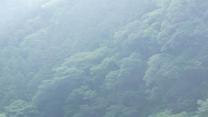 宇野陽介のインスタグラム