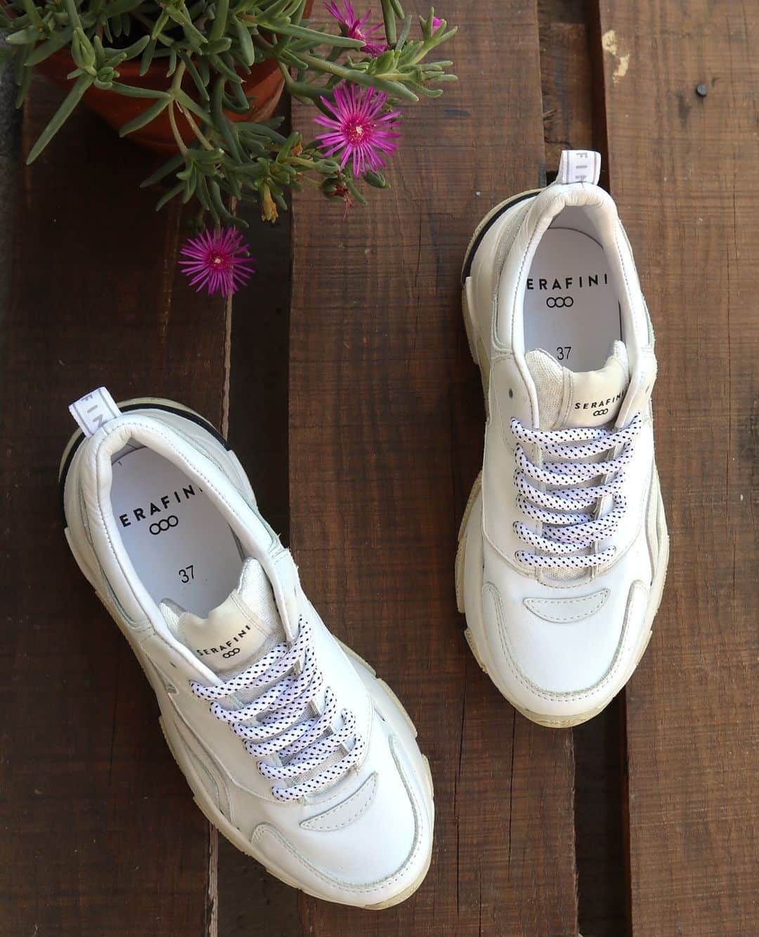 セラフィーニさんのインスタグラム写真 - (セラフィーニInstagram)「Serafini Summer Sale continues! Must-have for her: Twiggy White.  Tap on photo. #WeAreSerafini #SerafiniShoes . . . #sneakers #shoes #fashion #sneaker #sneakersaddict #style #sneakerheads #streetwear #ootd #adidas #streetstyle #igsneakercommunity  #sneakerporn #sneakerholics #sneakerfreaker #footwear #shoesaddict #summer #sale #totalwhite #woman #serafini #italianstyle #italianshoes #italiandesign #stileitaliano #musthave #topquality」8月27日 20時01分 - serafiniofficial