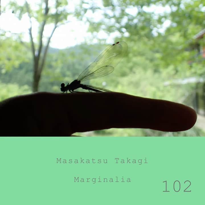 高木正勝のインスタグラム：「Finally a little rain comes. ﻿ Full music on bandcamp﻿ ﻿ Link > bio﻿ ﻿ ようやく、嬉し雨。ほんの束の間だけ降ってくれました。ツクツクボウシも嬉しそうでした。﻿ ﻿ Marginalia #102﻿ ﻿ Bandcampにてフル視聴できます﻿ Link > bio﻿」