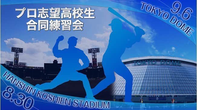 TBS「TBS野球班」のインスタグラム：「日常が変わっても 僕たちの夢は変わらない。  ⚾️プロ志望高校生合同練習会⚾️ paraviにて配信 8月30日あさ10時〜 9月  6日ごご12時55分〜  #夢すく で参加選手達への 応援メッセージを募集！  #高校生の夢の後押し #高校3年 #野球部 #プロ野球選手 #合同練習 #NPB #高野連  https://www.google.co.jp/amp/s/prtimes.jp/main/html/rd/amp/p/000000237.000030674.html」