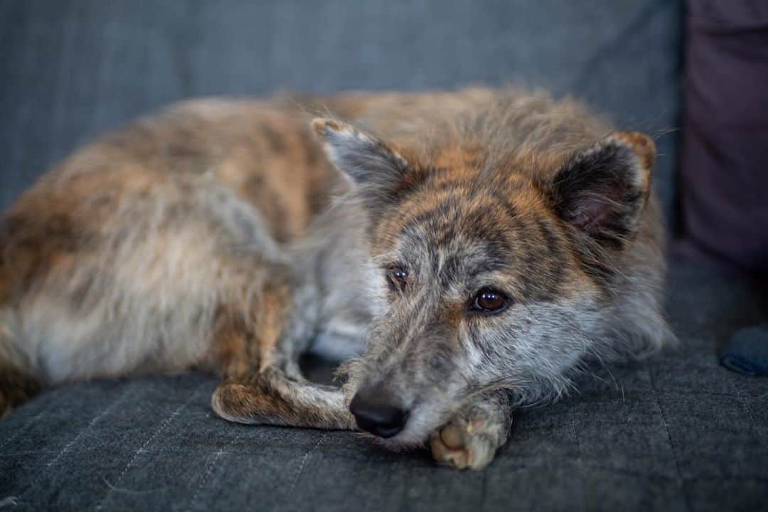 Naomiのインスタグラム：「もうすぐ1年。 毎日可愛くて毎日幸せ。」