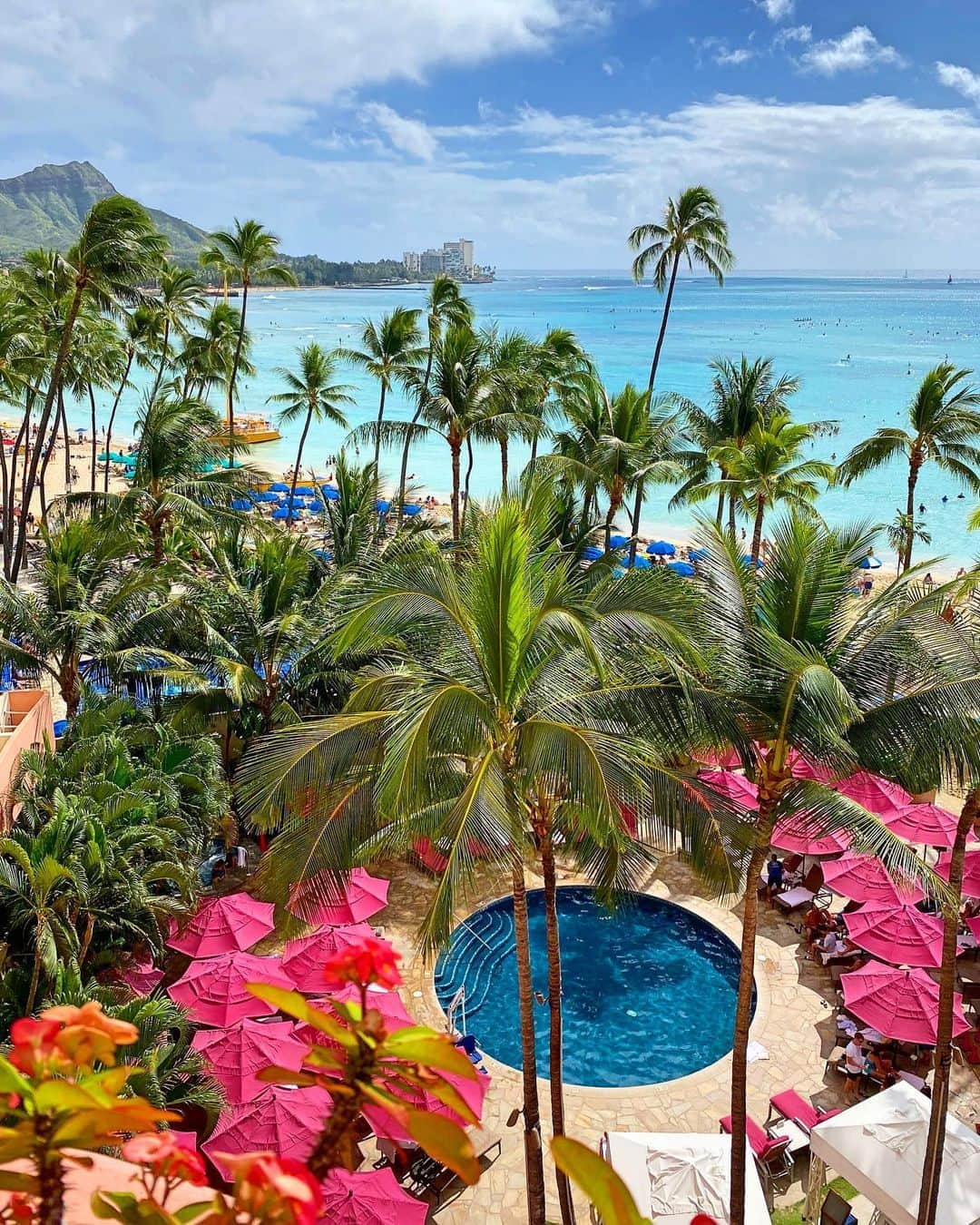 shihoさんのインスタグラム写真 - (shihoInstagram)「💗🌴💗🌴💗 ・ Hawaiiでは常に行動してるから ホテルは〝寝るだけ” になってしまい 重視していない事も多かったけど、、 たまにはゆっくりホテル時間を 楽しむのもよき🥰💗 ・ 素敵すぎる景色と出逢えて ずーーーっと見ていたい♡ 逆にホテルから出れなくなっちゃう？！笑 ・ #hawaii#islandofoahu#oahu#ハワイ#trip #オアフ島#travel#loco_hawaii#travel_jp #funtorip#タビジョ#旅MUSE#genic_travel #genic_mag#たびねす#旅行#genic_hawaii #royalhawaiian#royalhawaiianhotel#hotel #honolulu#waikiki#ワイキキ#oahuhawaii #tabijyomap_hawaii#lealeahawaii#2020」8月27日 11時31分 - shiho.ga8
