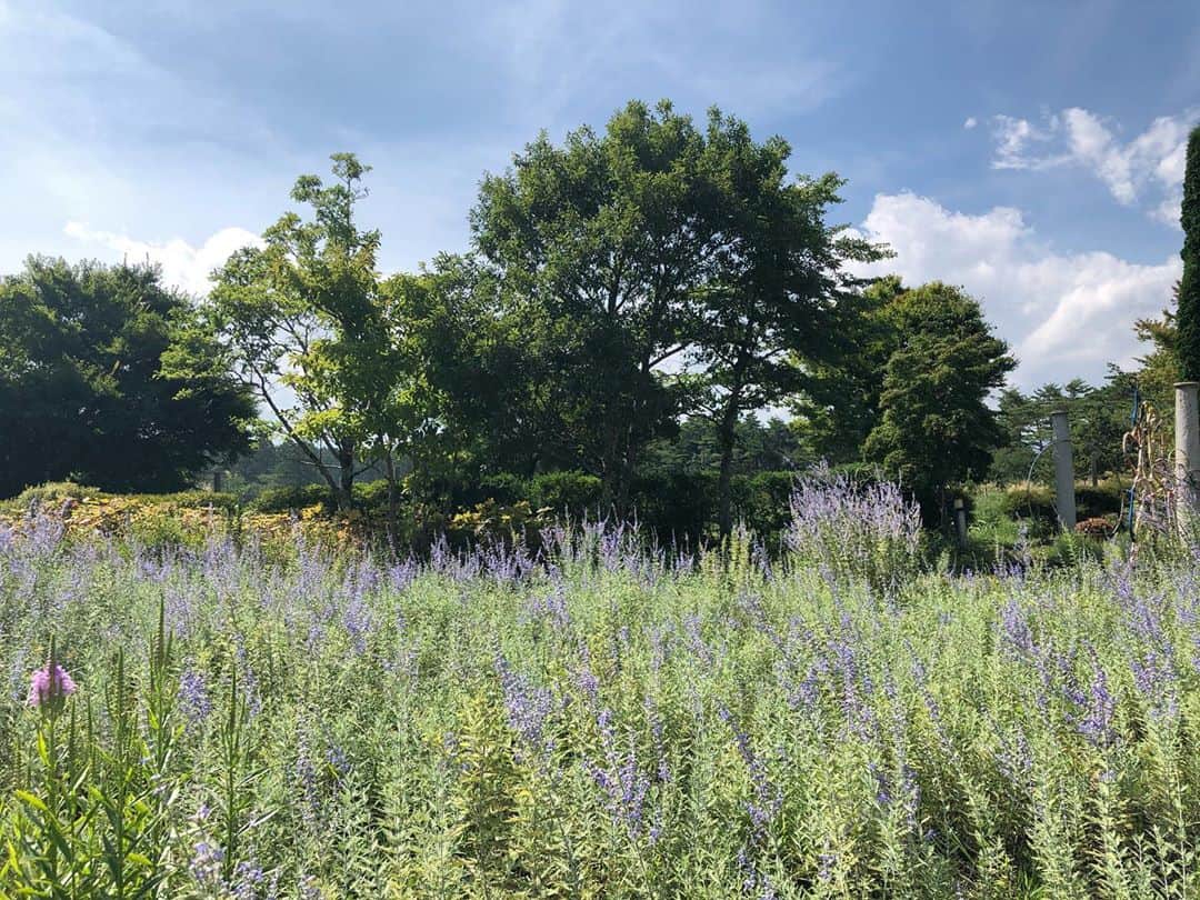 小野恵美のインスタグラム：「癒しの時間…💜🌿 #ラベンダー畑 #自然 #ガーデン #garden」