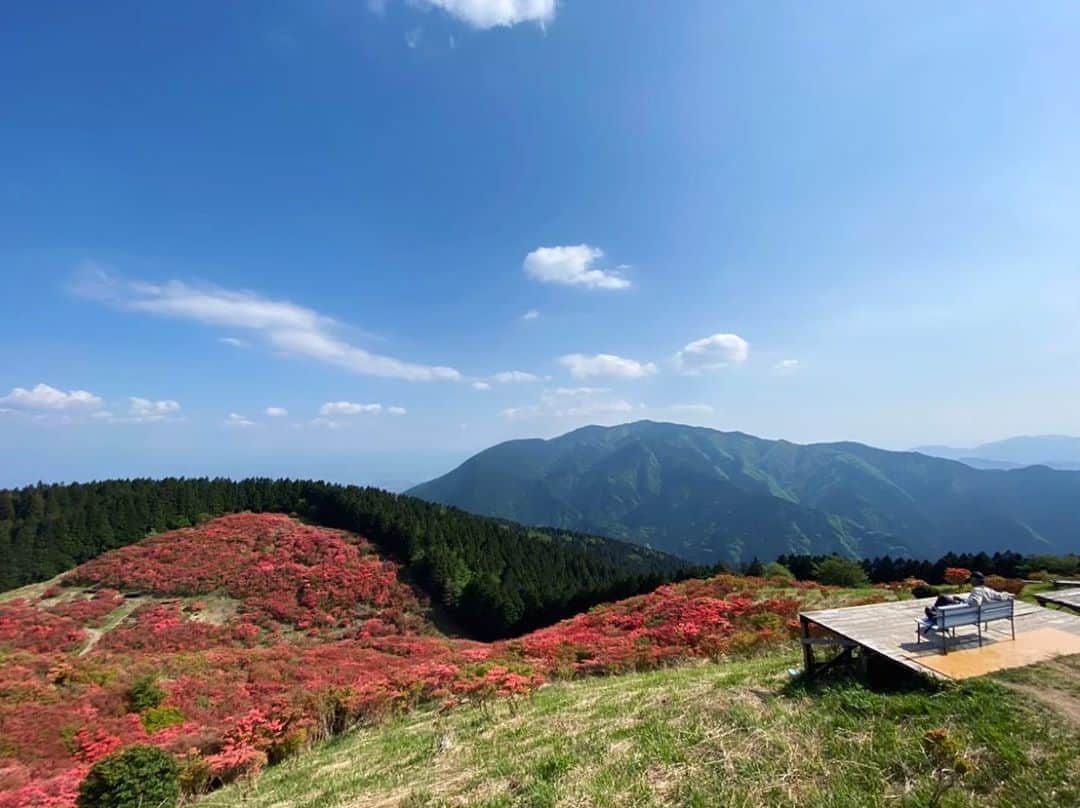 岩崎裕美さんのインスタグラム写真 - (岩崎裕美Instagram)「#過去写真 . 山頂からの景色⛰ #山ツツジ が咲いてる時期は一面が真っ赤に染まって青空と木々の緑との三色コラボレーションが素晴らしい✨👏 . この1枚目の右に見えるウッドデッキが所々にあるので そこで鳥の囀り聞きながら何時間でもゴロゴロできる。 ＿＿＿＿＿＿＿＿＿＿＿＿＿＿＿＿＿＿＿＿＿＿＿＿＿ #climbing #mountain #nature #tirp #travel #nara #osaka #green #hiking #登山 #登山女子 #山登り #山歩き #山ガール #大阪 #奈良 #大和葛城山 #旅行 #旅 #山」8月27日 11時55分 - hiromi_iwasaki