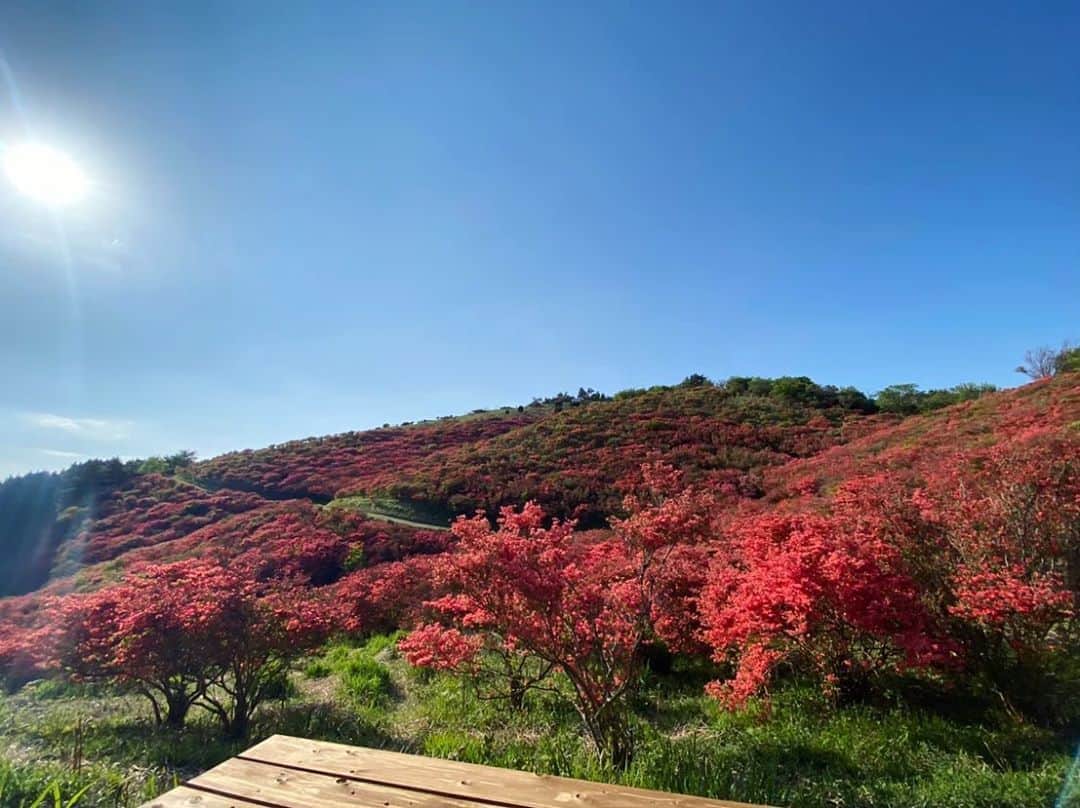 岩崎裕美さんのインスタグラム写真 - (岩崎裕美Instagram)「#過去写真 . 山頂からの景色⛰ #山ツツジ が咲いてる時期は一面が真っ赤に染まって青空と木々の緑との三色コラボレーションが素晴らしい✨👏 . この1枚目の右に見えるウッドデッキが所々にあるので そこで鳥の囀り聞きながら何時間でもゴロゴロできる。 ＿＿＿＿＿＿＿＿＿＿＿＿＿＿＿＿＿＿＿＿＿＿＿＿＿ #climbing #mountain #nature #tirp #travel #nara #osaka #green #hiking #登山 #登山女子 #山登り #山歩き #山ガール #大阪 #奈良 #大和葛城山 #旅行 #旅 #山」8月27日 11時55分 - hiromi_iwasaki