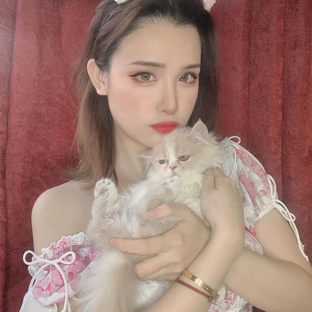 前羽さんのインスタグラム写真 - (前羽Instagram)「我的猫好像都不愿意和我合照」8月27日 11時59分 - rissoft_