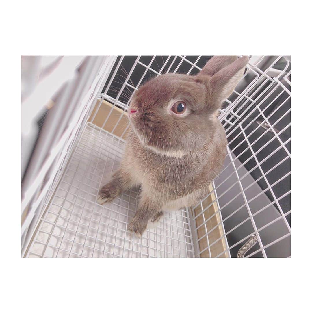 橋本陽菜のインスタグラム