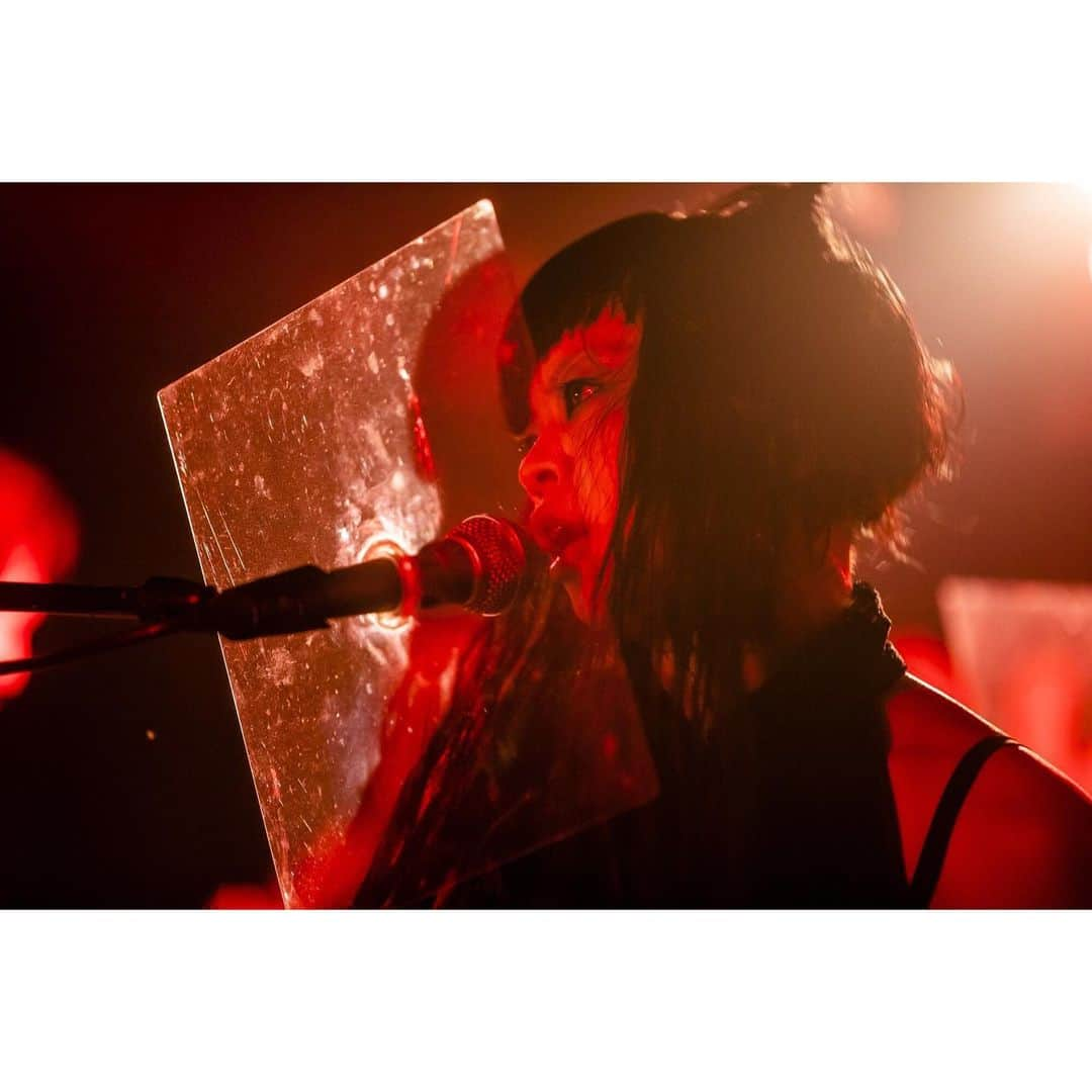 青木カズローさんのインスタグラム写真 - (青木カズローInstagram)「ワッペリン ﻿ 2020.08.15 @ 名古屋 CLUB ROCK'N'ROLL ﻿ photo by 青木カズロー(cazrowAoki)﻿ ﻿ #ワッペリン #写殺﻿ #人間が生きている瞬間﻿ #生きてなきゃ殺せない﻿ #殺してぇから生きてくれ」8月27日 14時09分 - cazrowaoki