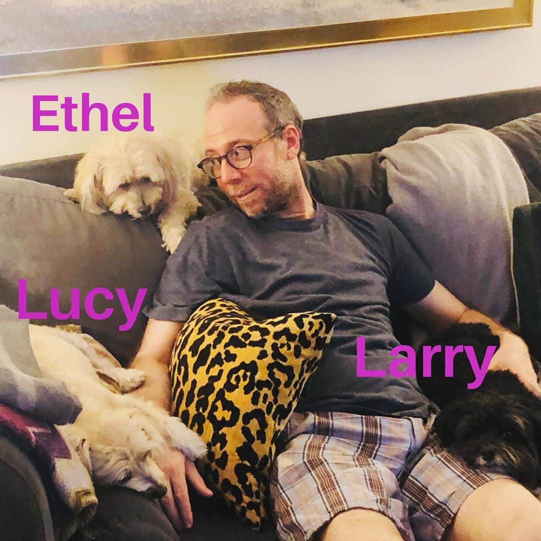 ケヴィン・サスマンのインスタグラム：「Happy #internationaldogday   📷 @addielizabethall」