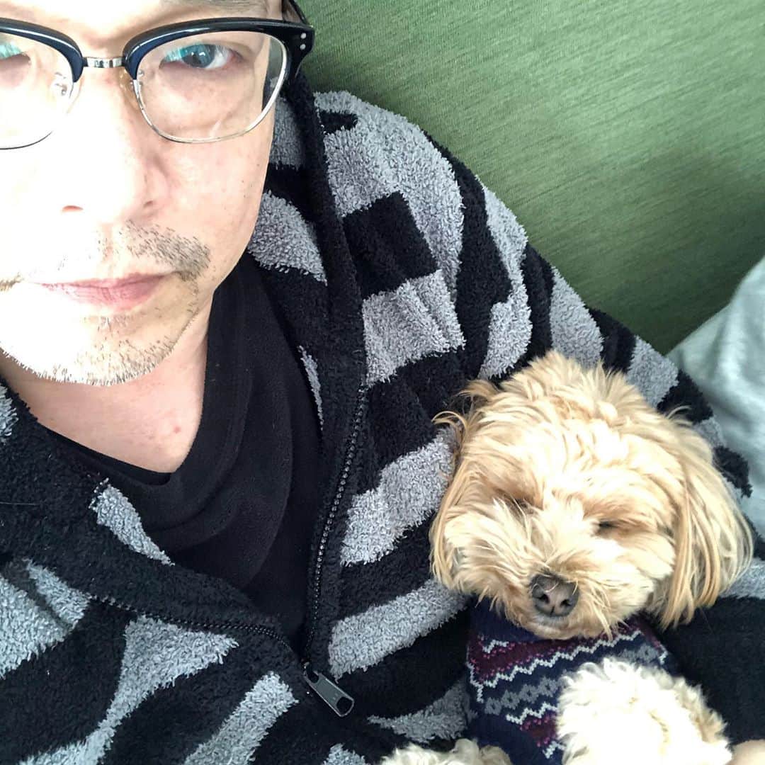 三上市朗のインスタグラム：「そうか、昨日か、#NationalDogDayは。ウチのワンコじゃないけれど。」