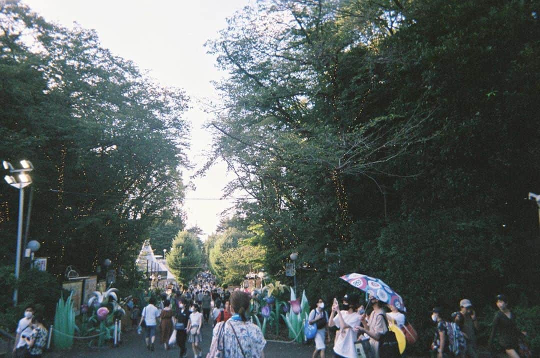 真奈さんのインスタグラム写真 - (真奈Instagram)「一番好きな遊園地だから とっても寂しい  #としまえん #現像 #film」8月27日 15時26分 - manatmnt0116