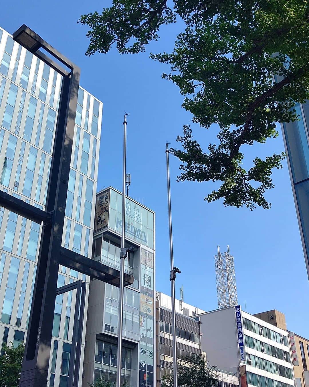 北海道放送「今日ドキッ!」さんのインスタグラム写真 - (北海道放送「今日ドキッ!」Instagram)「天気担当Sです。  きょうの暑さは ヤバイってー…🥵  外に出ただけで フラフラになりそう…😭  でも準備はいつも通りに 進めていかねば…  ん？  照明用のポールになにやら…  あっ！トンボがとまってるー😆  秋が来る前の暑さに 少し疲れたのかな？？  OAまでは、 どーぞお休みください🙇  #そらリサーチ 写真募集中」8月27日 15時28分 - hbc_kyodoki