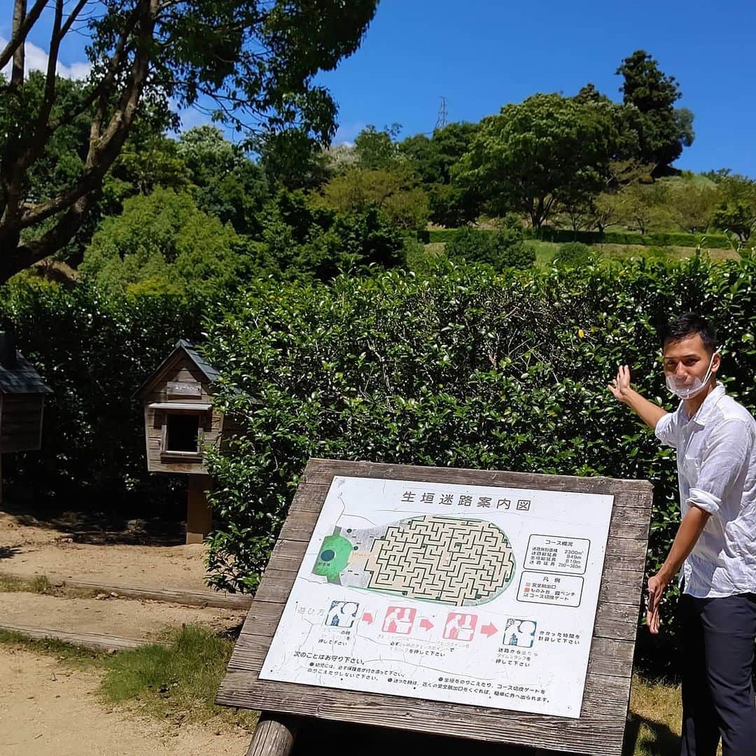 MBSアナウンサー公式さんのインスタグラム写真 - (MBSアナウンサー公式Instagram)「今日のちちんぷいぷいで、徳島県の神山森林公園イルローザの森にある巨大迷路を取材してきた森本尚太アナ。  高さ2mの山茶花の生垣で造られた迷路にあたふた…。気合い満々で挑戦したのに、脱出に15分以上かかってしまいました。(早い人は５分くらいだそうです。)  今度の休日は、標高400メートルの涼しさと大自然の中で過ごしてみてはいかがでしょうか？  #ちちんぷいぷい #神山森林公園イルローザの森」8月27日 15時36分 - mbs.ana
