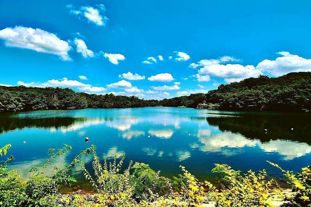 兵庫県さんのインスタグラム写真 - (兵庫県Instagram)「兵庫県公式インスタグラム『love_hyogo』です。  love_hyogoでは皆さんが#lovehyogo のハッシュタグを付けて投稿していただいた写真を紹介をさせていただきます。  本日のピックアップは @ashiya_prさんのお写真です👑 ハッシュタグをつけての投稿ありがとうございます🙏  写真は、芦屋市奥池町にある貯水池の風景です📷✨  どこまでも広がる真っ青な空を悠々と流れる白い夏雲❗吸い込まれそうに美しいその景色を絵画のように写し取る静かな水面…。思いっきり深呼吸したいー❗❗💕  ここは六甲山で最も美しい池といわれた奥池。六甲山中腹の標高約500メートルに位置します。江戸時代築造の奥池と、昭和時代に完成した奥山貯水池、奥池の上の小さな池の3つから成っています。 野鳥や様々な植物の宝庫であり自然を満喫できる奥池周辺をハイキングで訪れる方が多いようです👟🌿 池を囲む遊歩道を歩けば自然のエネルギーをきっと感じられるはずです!（市街地より3〜4℃涼しい）💕🌿  　※付近は駐車場が少ないようです。  兵庫にまつわる投稿は#lovehyogo のハッシュタグをお願いします👈  −−−−−−−−−−−−−−−−−−−−−−−−−−−−−−−−−−−−−−−−−−−−−−−−−−−−−−−− 兵庫県では、新型コロナウイルス感染拡大を予防する『ひょうごスタイル』（📍3密（密閉、密集、密接）の回避📍身体的距離の確保📍マスクの着用等）の推進のご協力をお願いしています。  #兵庫県#兵庫#lovehyogo#love_hyogo#photooftheday#followme#芦屋市 #奥池#奥池町#奥山貯水池#パワースポット# ハイキング#緑地#自慢したい兵庫の景色」8月27日 16時06分 - love_hyogo
