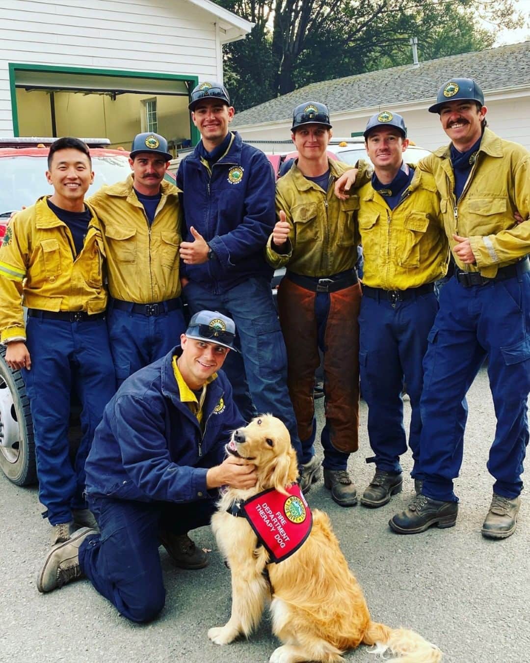 CNNさんのインスタグラム写真 - (CNNInstagram)「Meet Kerith, the 2-year-old golden retriever who has been comforting firefighters battling the wildfires in northern California. “Kerith is boosting morale during the crew's morning briefing," Heidi Carmen, Kerith's human, told CNN. "She brings levity and a sense of playfulness even though they know the task of the day will be challenging."  (📸: Heidi Carmen)」8月27日 16時00分 - cnn