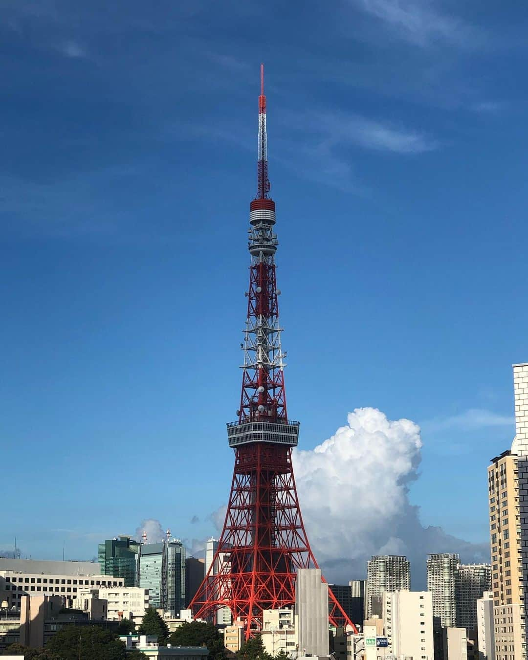 やついいちろうさんのインスタグラム写真 - (やついいちろうInstagram)「東京」8月27日 16時58分 - yatsuiichiro