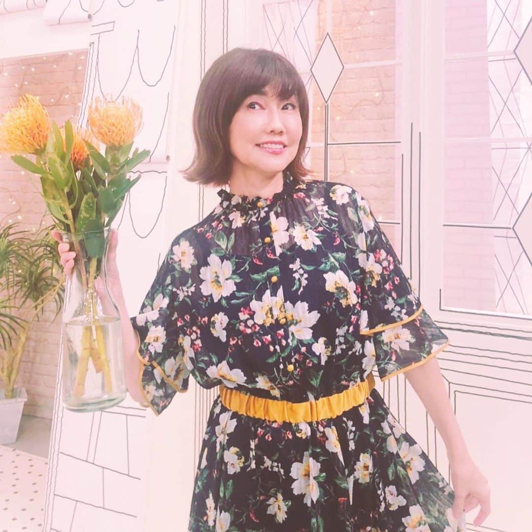 松本伊代さんのインスタグラム写真 - (松本伊代Instagram)「今日は東海テレビ 「スイッチ！」 生放送で名古屋でした〜📺 帰りは頂いた天むす🍙🍤を食べながら東京へ🚅 写真はないけど、、、😭 撮れば良かったー😂バカバカばか  もってるお花はピンクッション。 スキマスイッチさんと愛知のお花屋さんがコラボ！ 元気がでるブーケ💐を。 花と音楽の力で 元気をお届け！  今日のテーマフラワー ピンクッションを持って。 花言葉は「どこでも成功を」だそうです🥰  #東海テレビ #スイッチ #スキマノハナタバ #ピンクッション #どこでも成功を #音楽と花のコラボ #花に花 #ワンピとのコラボもピッタリ #黄色のアクセント #まるで花火のような花 @ruvieofficial」8月27日 16時54分 - iyo14_official