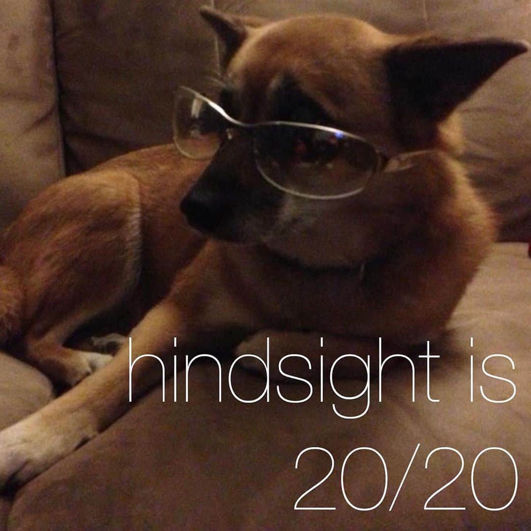 のインスタグラム：「🇺🇸では、視力検査は20/20が満点(ちゃんと見えてる👀)となります。 ”hindsight”は日本語でいう「後知恵」 “hindsight is 20/20”は、「振り向いて見れば物事が良く見える」→「後からは何とでも言える」という意味で使います。 A: “You know we could’ve taken the highway.” B: “Well, hindsight is 20/20.” A:「やっぱり高速を使うべきだったよ。」 B:「後から言うのは簡単だよ。」 先の事を予測するのは難しいですよね。過去の決断をとやかく言うのはやめた方がいいかも…🤭 . #usa #america #studyabroad #livinginamerica #idioms #phrases #hindsightis2020 #predictthefuture #conversation #studyenglish #studyathome #アメリカ #アメリカ生活 #留学 #イディオム #フレーズ #視力 #予測不可能 #振り返えれば #英会話 #英語の勉強 #おうち時間の過ごし方 #犬 #ソファーで #オシャレ #fashionista #ファッショニスタ #どこでも勉強」