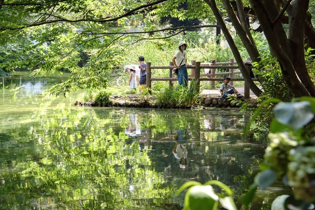 東京都庁広報課のインスタグラム