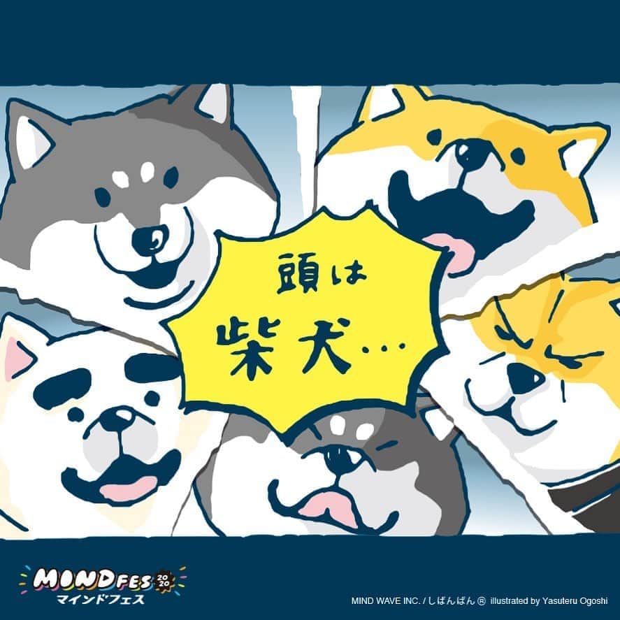 オオゴシヤステルのインスタグラム