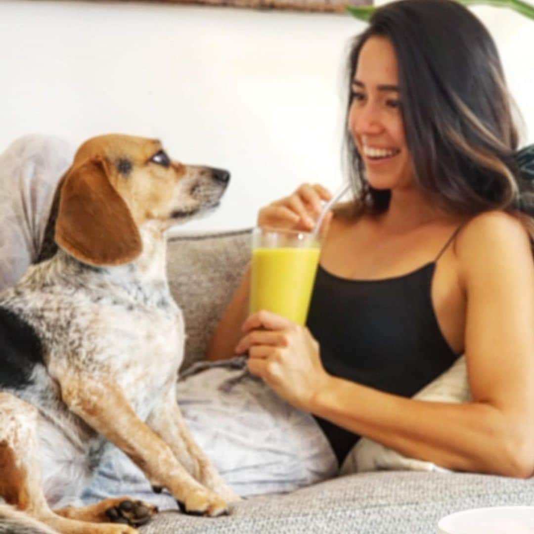 マヤ アリーナのインスタグラム：「Happy national dog day to these two. Thanks for putting up with mommy’s shenanigans 🥰今日は犬の日！」