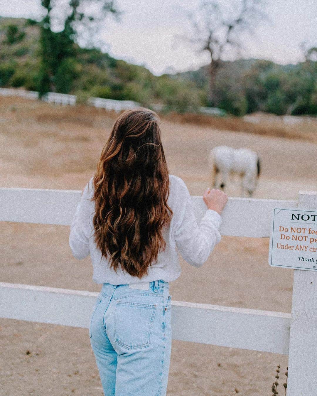 Meredith Fosterのインスタグラム：「Forever mood🐴🌼🌾」