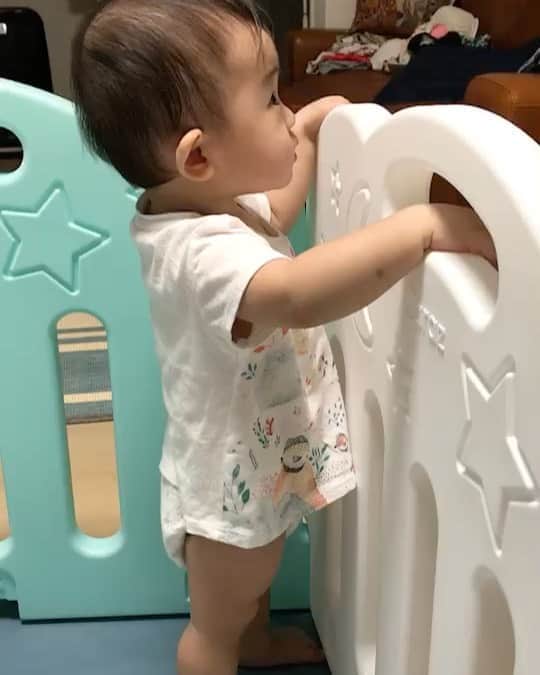 山口愛実のインスタグラム：「なんだか眠れなくて 書類仕事しては飽きて赤ちゃんの頃の娘の動画見て泣くを繰り返してたら朝になってました😆  おはようございます！」