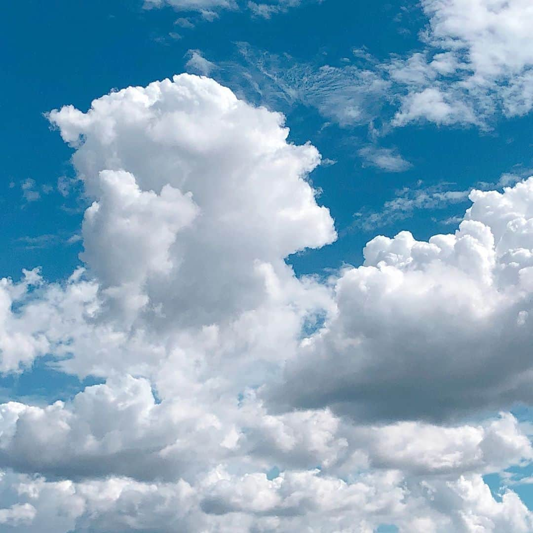 maiii0301さんのインスタグラム写真 - (maiii0301Instagram)「透き通った青い空☁️ 深夜に雨がザーッと降ってあがったあとの日中は、気持ちの良い青空でした♡ つくりものみたい☁️ 乗れそうな雲☁️━︎━︎━︎━︎━︎━︎━︎━︎━︎━︎━︎━︎━︎━︎━︎━︎━︎━︎━︎━︎ 子どもの頃🧒雲に乗りたい。 空を飛びたいって思ってた。 #エモい #エモい写真 合ってる⁇笑♡ #空#自然#海#夕日 #光#夜景 #癒し#幻想的#惹かれる #いまそら#青空#雲 #奥行き#立体的#3d#アート ━︎━︎━︎━︎━︎━︎━︎━︎━︎━︎━︎━︎━︎━︎━︎━︎━︎━︎━︎━︎ とうもろこし🌽 皮を剥いたら♡ハート発見✨ #可愛い#ハート#とうもろこし#ほっこり#きゅん 見た方みんなにも良い事があるといいな🙏✨🍀 #happy #連鎖」8月27日 20時40分 - maiii0301