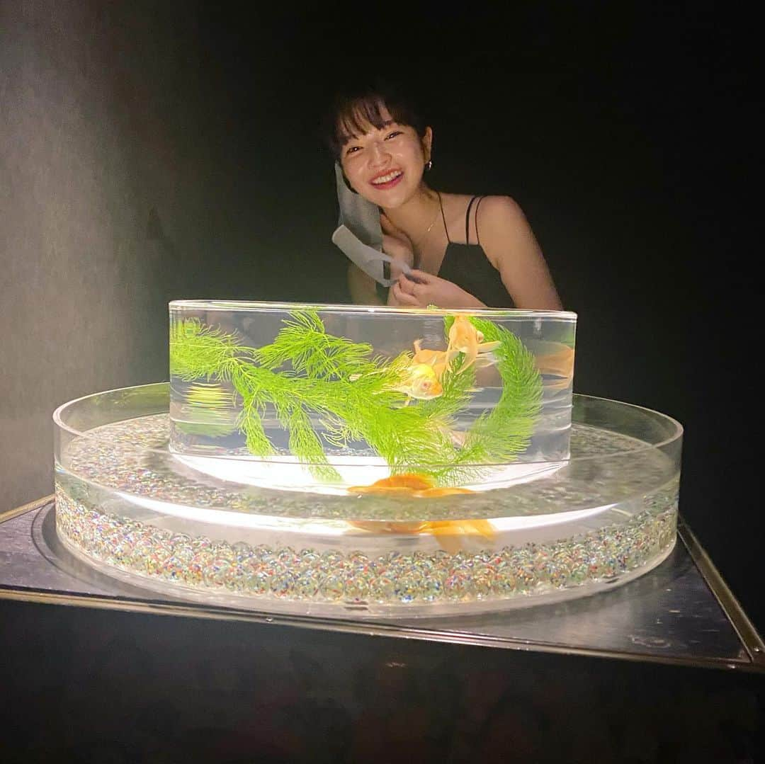 田中芽衣（めいめろ）さんのインスタグラム写真 - (田中芽衣（めいめろ）Instagram)「🎐🎐🎐 #artaquarium  #artaquariummuseum  #アートアクアリウム美術館 #アートアクアリウム」8月27日 20時41分 - mei_tnk