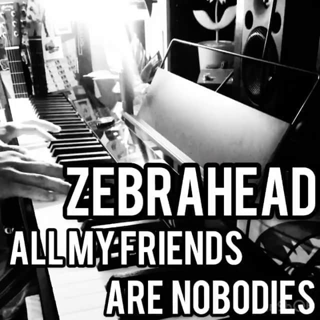 Zebraheadのインスタグラム