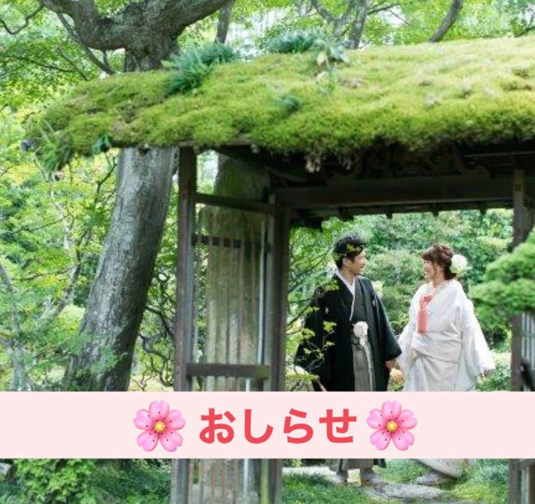 桜鶴苑のグルメインスタ