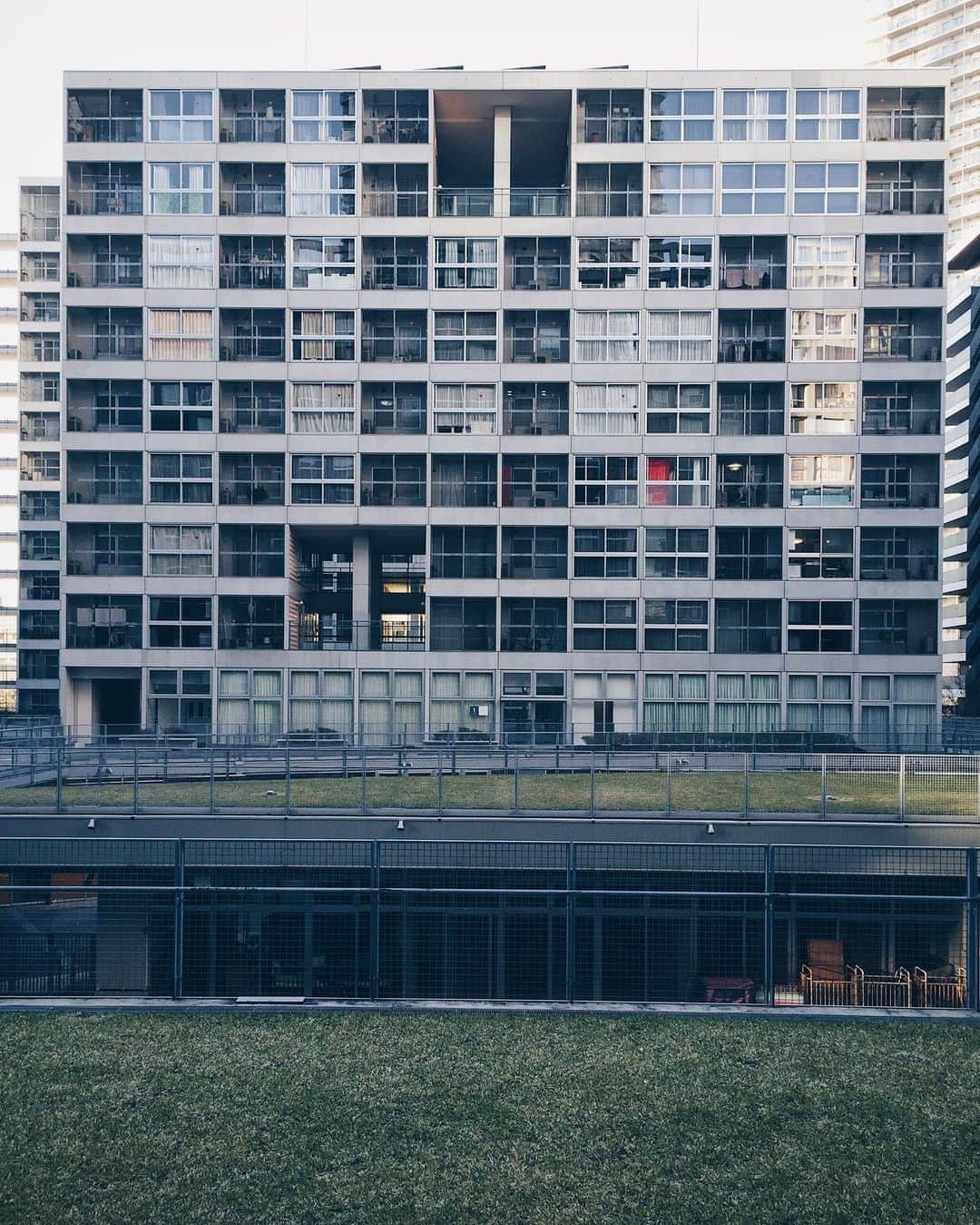 ima_ju / Jun Iのインスタグラム：「: : 田 GRID 田 : : ::」