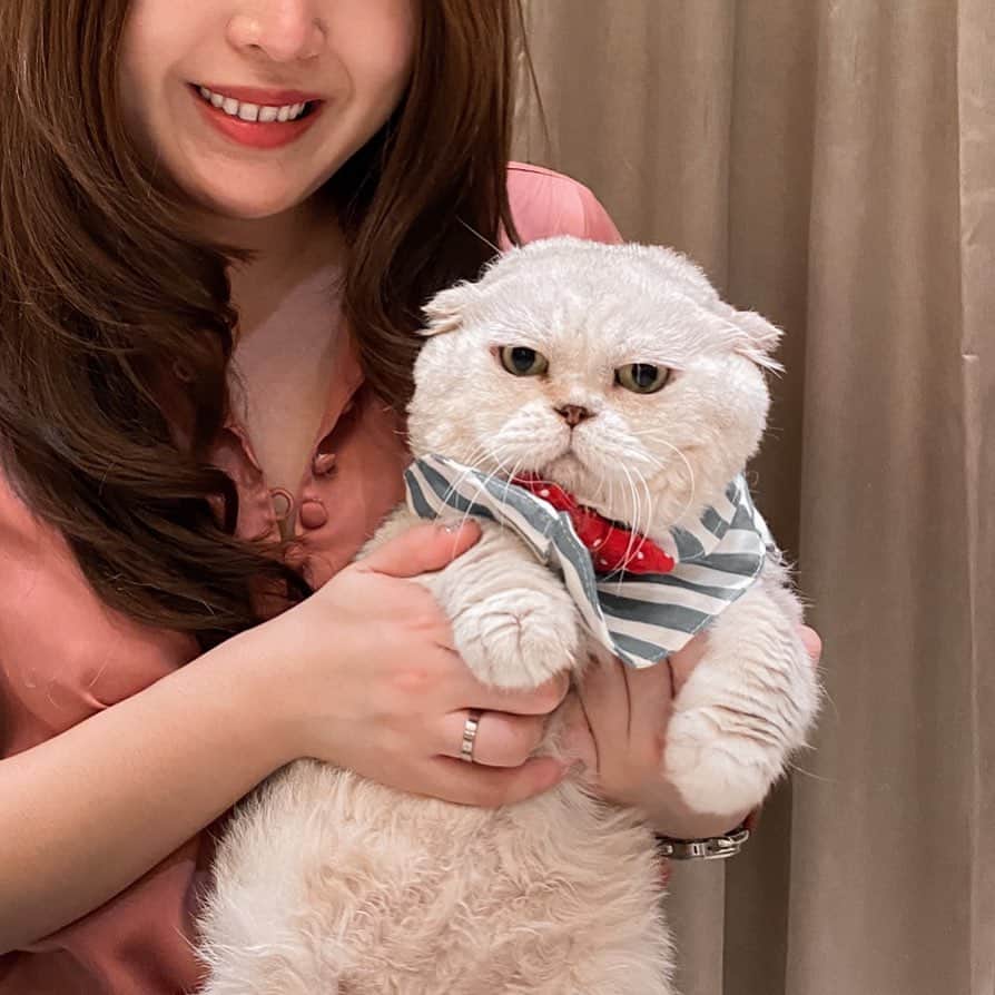Haruのインスタグラム：「🎂Yesterday’s my birthday.💗Human gave my lots of treats as usual. This year I turns seven but i think i look a bit younger. Don’t you think so? But i promise i will stay healthy and happy cause i love you all. ❤️❤️❤️ #haruturnsseven วันเกิดพี่รุย่างเจ็ดขวด อ้วนอั๋นเหมือนเดิม ดุน้อยลงนิดหน่อย กลัวแม่ไม่รัก」