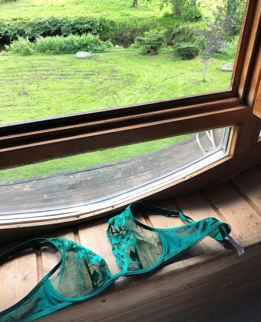 レジャビーさんのインスタグラム写真 - (レジャビーInstagram)「Nuances de vert —— shades of green @lanoro_lingerie  #sin #maisonlejaby #lingerie #broderie #tulle #vert #green」8月27日 21時54分 - maisonlejaby