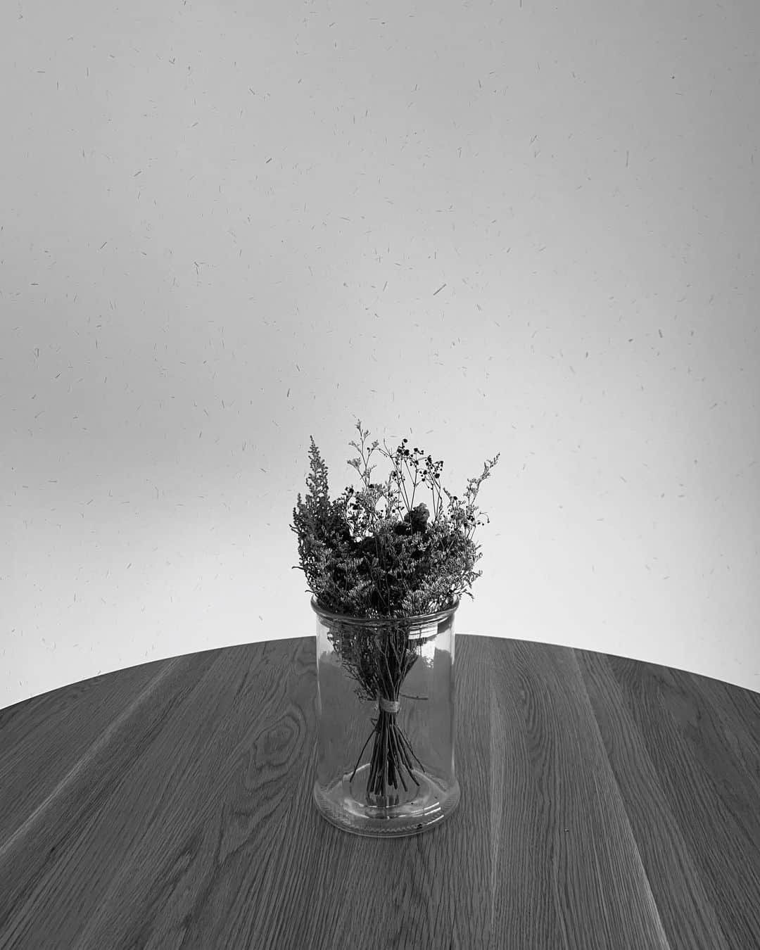 s_shoheyのインスタグラム：「. 仕事の撮影が増える 　　　　↓ 休みの日にカメラ持ちたくなくなる、、😅」