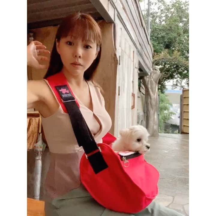 本田裕子のインスタグラム