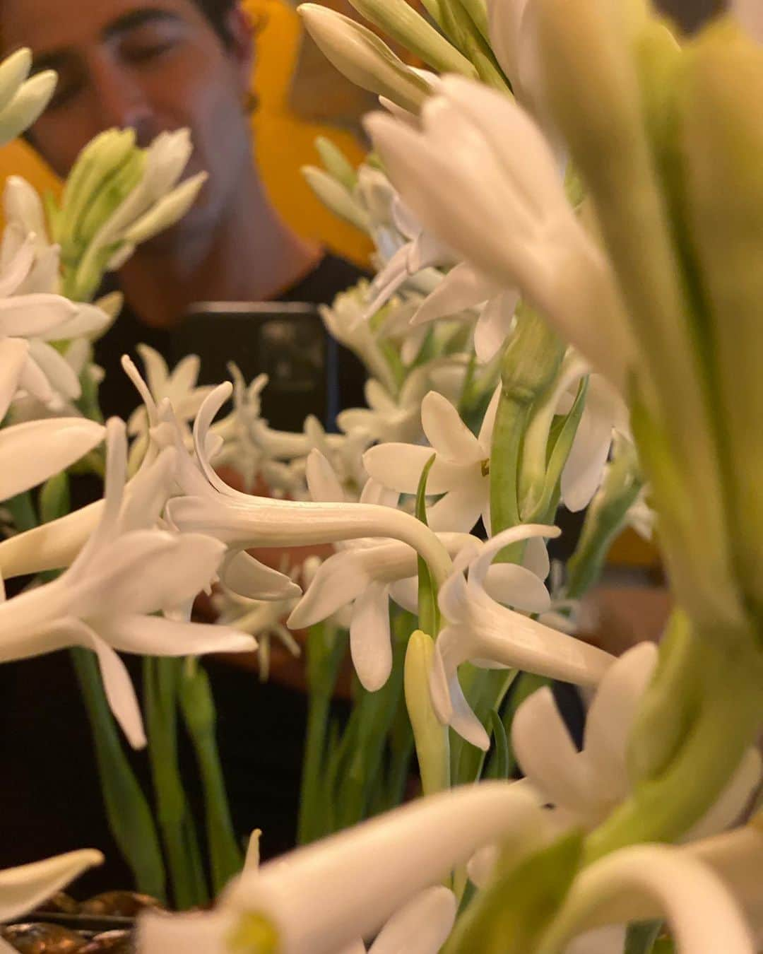 ザックポーゼンさんのインスタグラム写真 - (ザックポーゼンInstagram)「Garden grown #tuberose 🙌🏼✨ #tistheseason , nothing better, and nothing comes close to the fragrant intoxication of the single flower variety. Thank you @zezeflowers and Peggy!」8月27日 23時05分 - zacposen