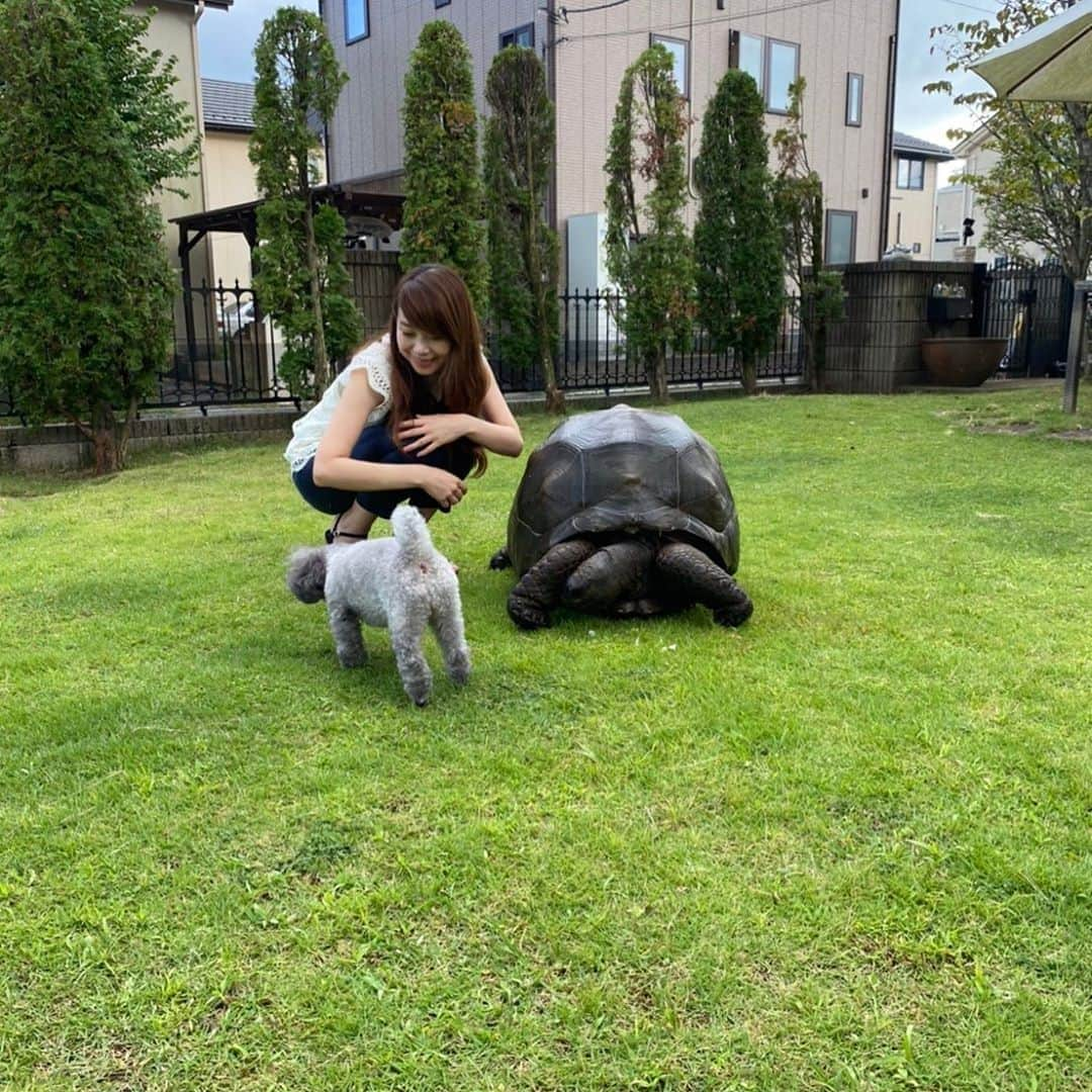 須賀由美子のインスタグラム