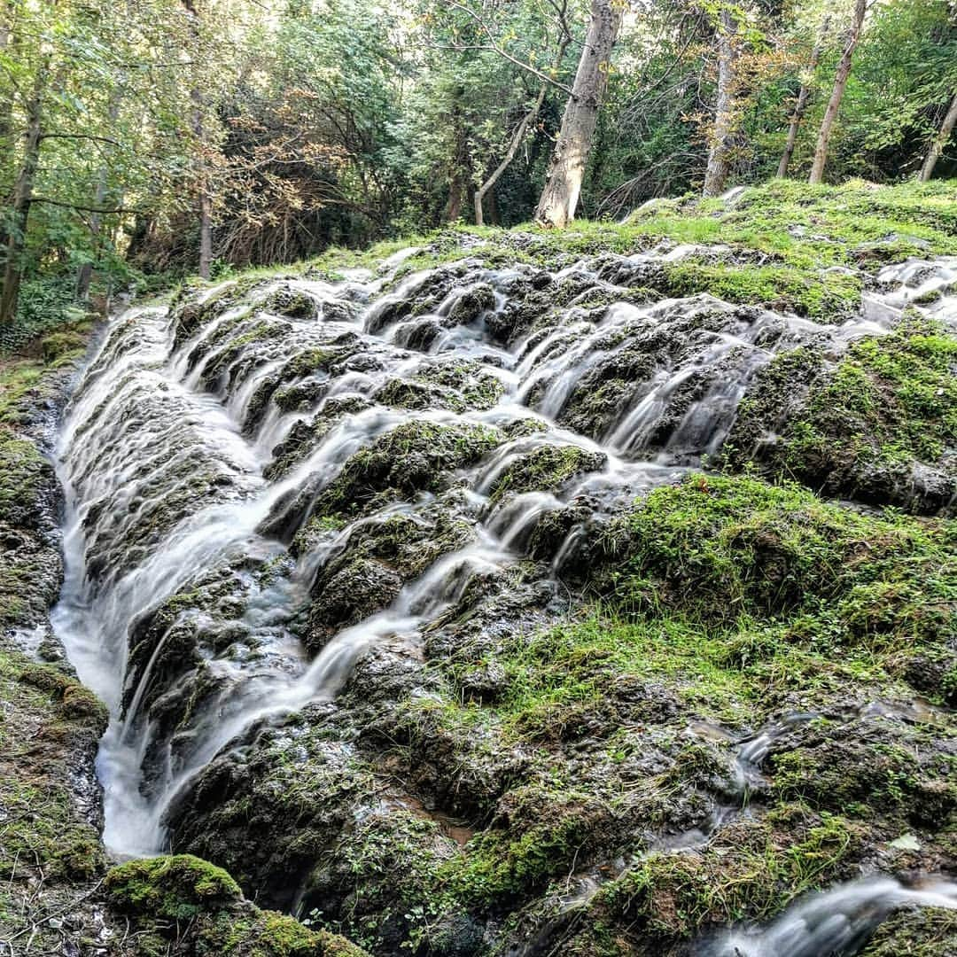 ハビエル・フェルナンデスさんのインスタグラム写真 - (ハビエル・フェルナンデスInstagram)「Disconnecting with #MotherNature🏞️🌳What do you think of my photography skills? 😜 Who is your favourite photographer friend? Desconectando con la #MadreNaturaleza🏞️🌳¿Qué opináis de mis habilidades fotográficas? 😜¿Quién es tu amigo fotógrafo favorito?」8月27日 23時24分 - javierfernandezskater