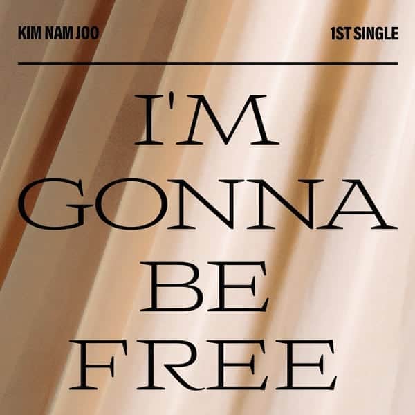 Apinkさんのインスタグラム写真 - (ApinkInstagram)「[#김남주] Kim Nam Joo 1st Single Album [Bird] Track Image  2020.09.07 18:00  #Apink #남주 #Namjoo #Bird」8月28日 0時00分 - official.apink2011