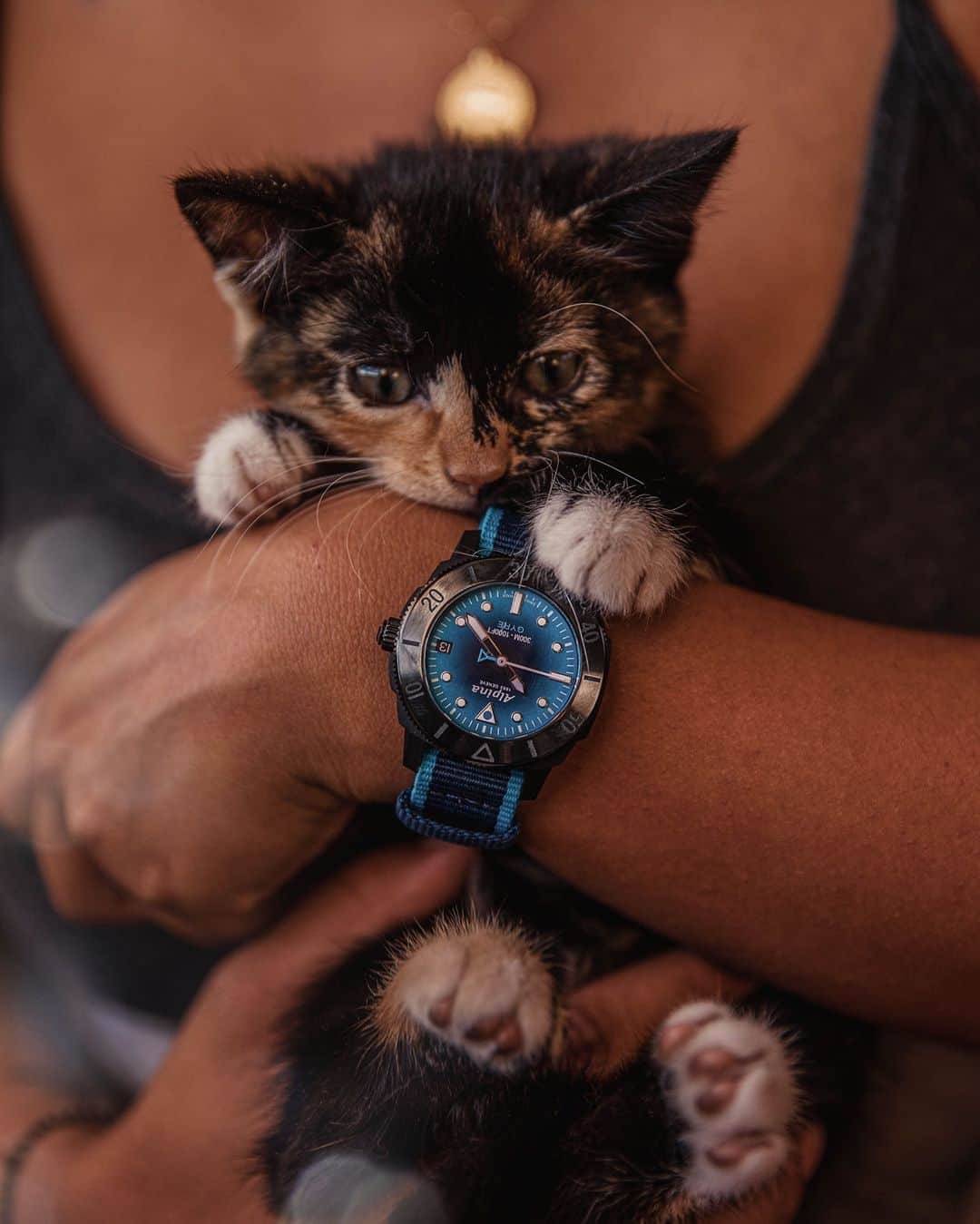 のインスタグラム：「The #SeastrongDiverGyre doesn’t fear wild animals. 🐈  #AlpinaWatches #ReachYourSummit #GyreCollection Check our website in bio to learn more.」
