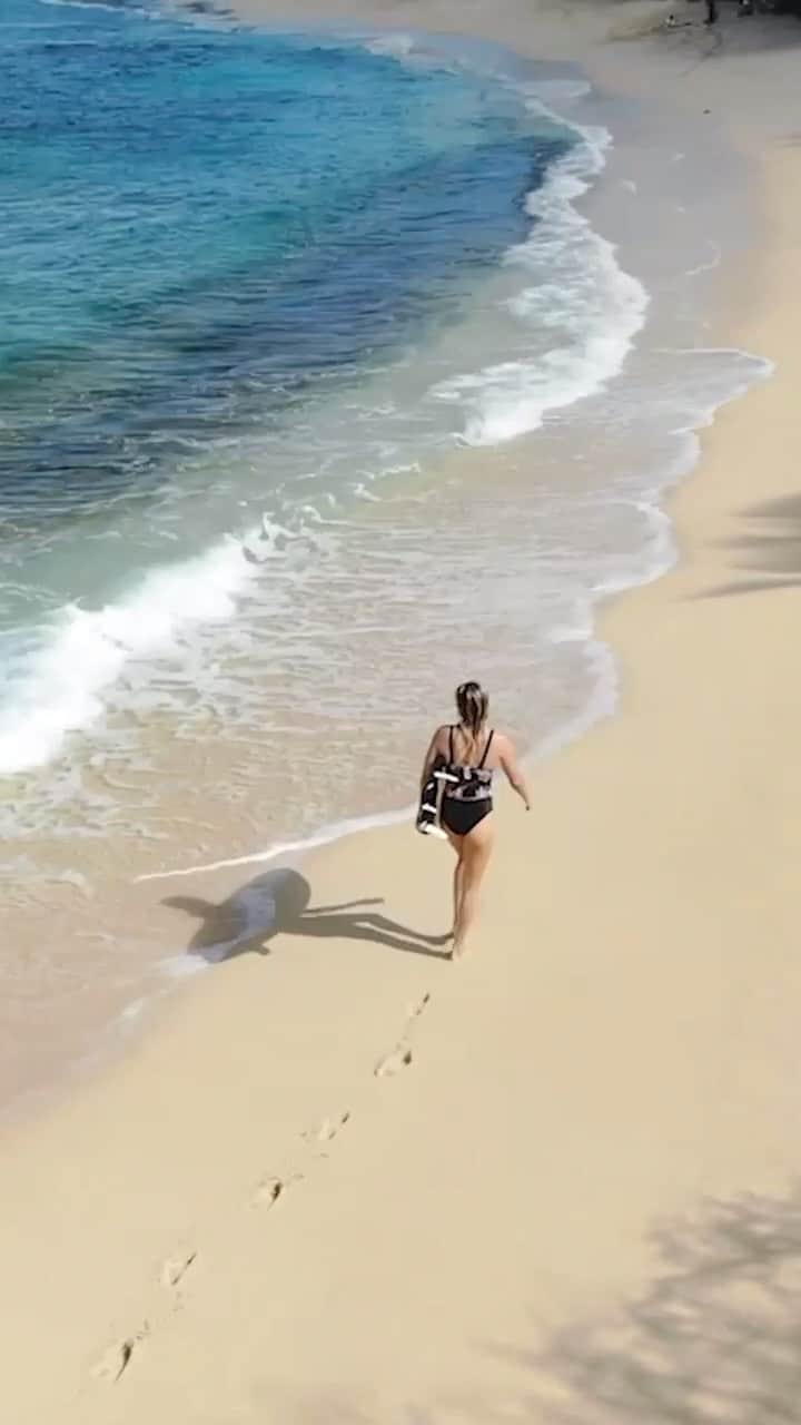 ロキシーのインスタグラム