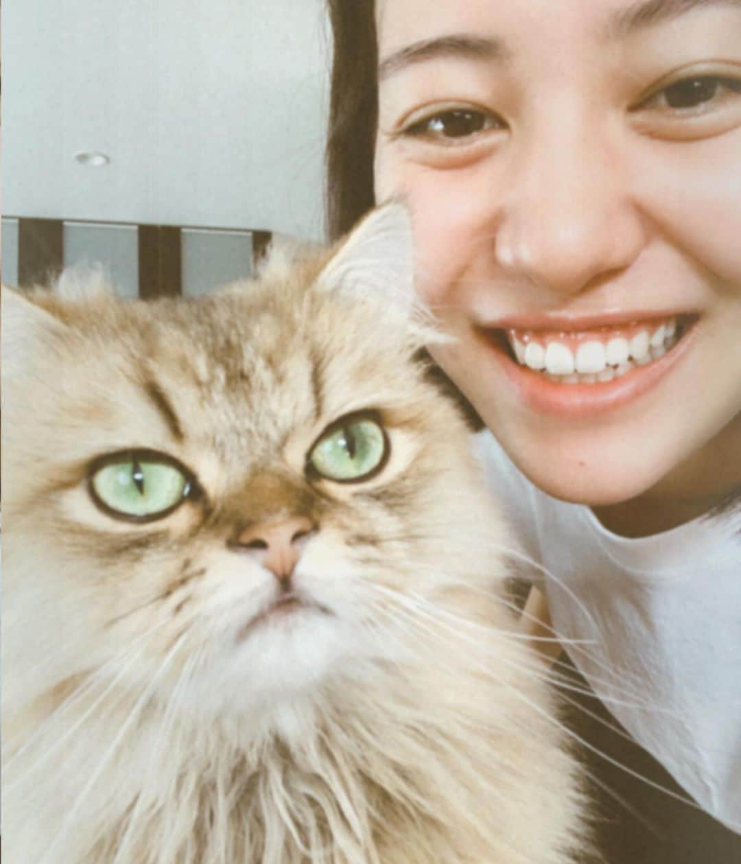 金井美樹 のインスタグラム：「なんとも言えない表情😹﻿ 一緒に撮っていただきありがとうございます笑﻿ #猫 #師匠 #温度差 #goodnight🌙」