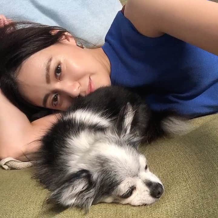 のインスタグラム：「♡ いじけてる癖に ちゃんと隣にいるの。 ・ ・ 可愛いかよ！ ・ 大好き❤ ・ ・ ・ #1日1大好き #優美 #ゆうみ #me #昭和感 #大好き #ダイスキ #daisuki #love #❤️ #チワワ #ロングコートチワワ #ブラックタンホワイト #チワワ部 #親バカ #chihuahua #chihuahualove #chihuahualife #longcortchihuahua #ちわすたぐらむ」
