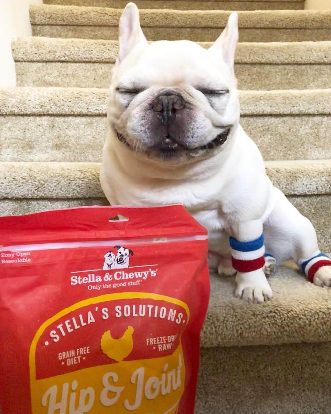 Sir Charles Barkleyのインスタグラム：「They say it’s 80% diet and 20% exercise. #morelike95and5 #idontdomath @stellaandchewys #ad」