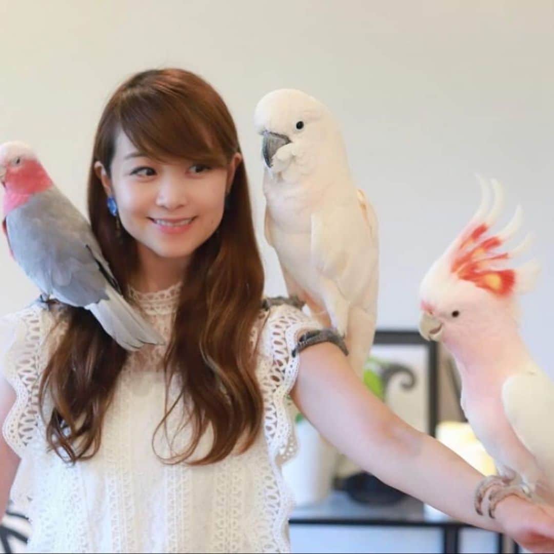 須賀由美子さんのインスタグラム写真 - (須賀由美子Instagram)「#鳥 カメラマンはhttps://www.facebook.com/takako.kawamura.7さん！」8月28日 1時35分 - tottiyumi